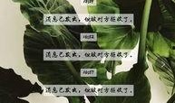 漯河女子爆料最新消息,揭秘事件背后惊人真相！